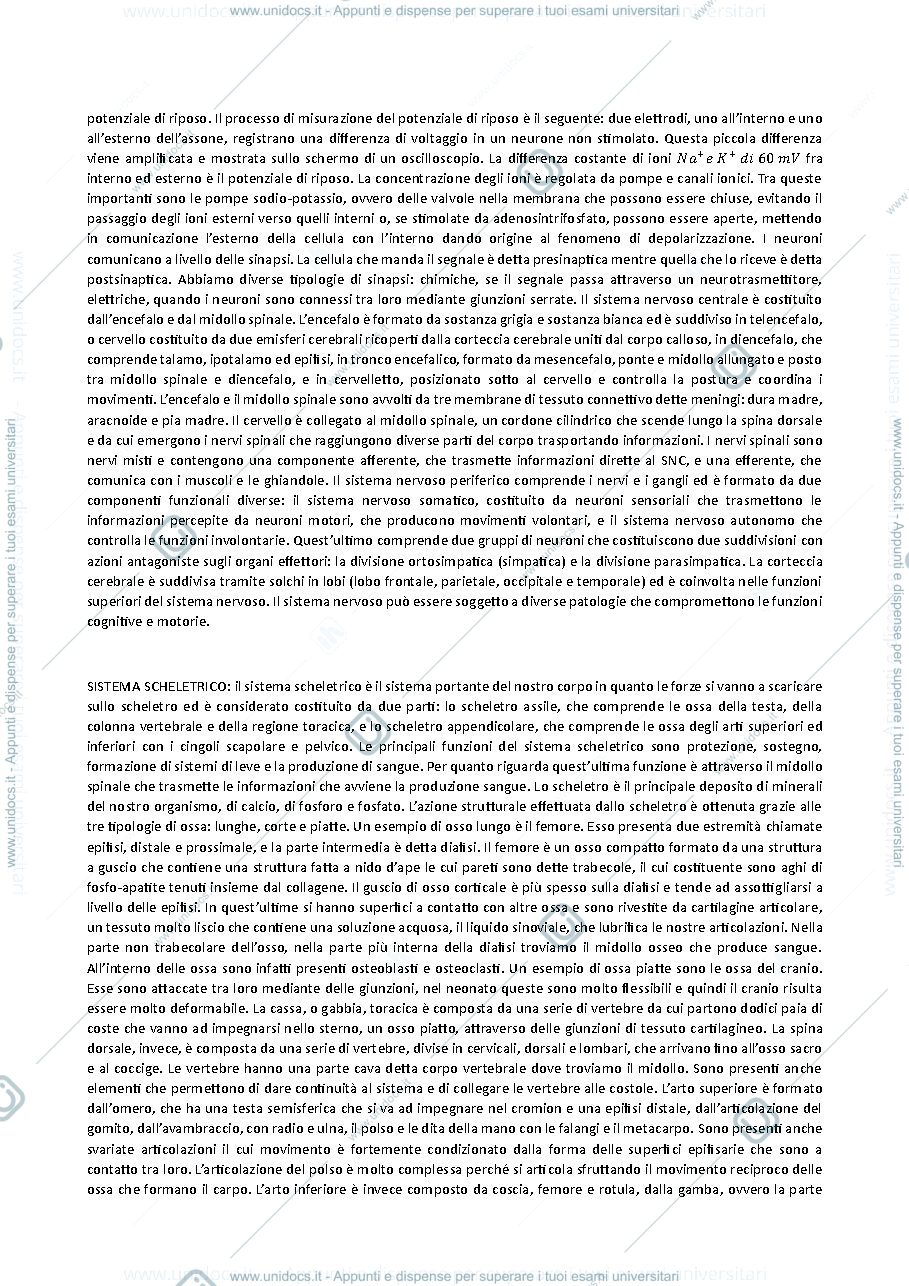 Anteprima pagina 3 — Biomeccanica