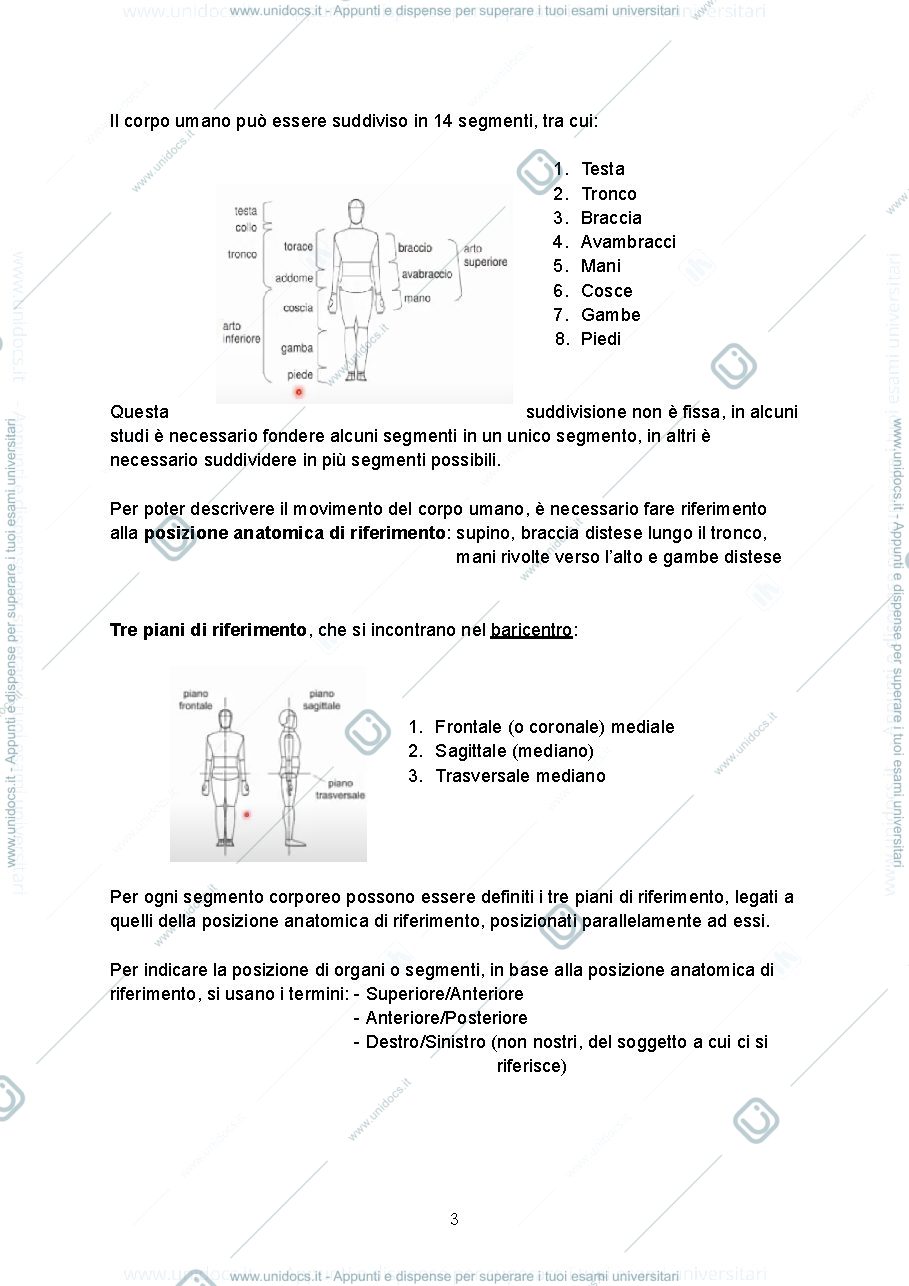 Anteprima pagina 3 — Appunti Biomeccanica