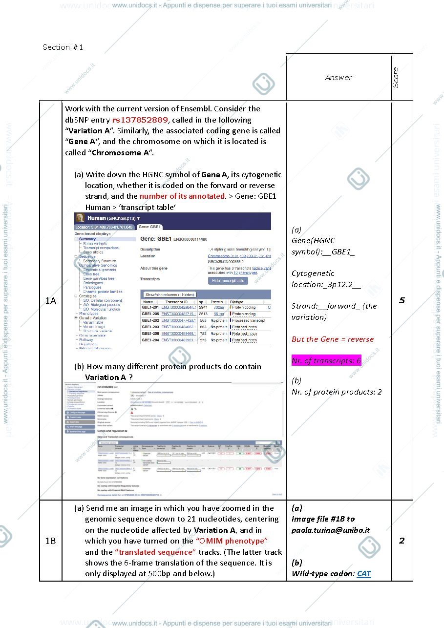 Anteprima pagina 2 — BDB exam