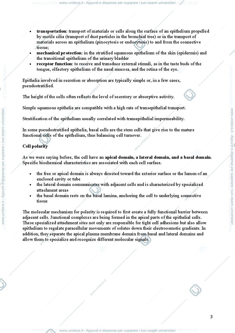 Anteprima pagina 3 — Histology Biomedical Sciences I