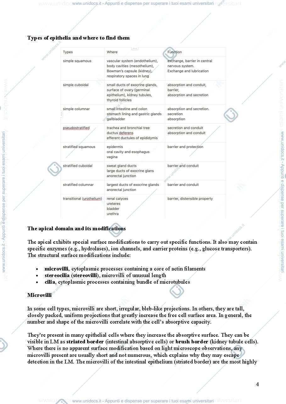 Anteprima pagina 4 — Histology Biomedical Sciences I