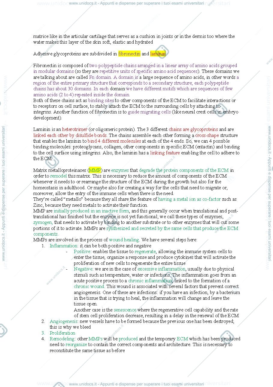 Anteprima pagina 4 — Cellular Biology I - Biomedical Sciences I