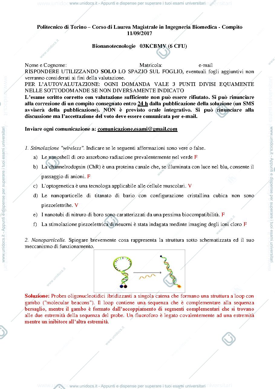 Anteprima pagina 1 — Temi d'esame 