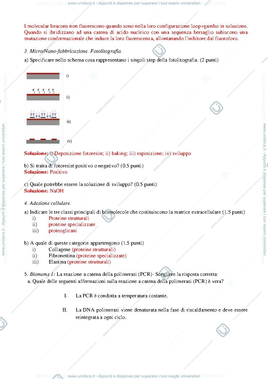 Anteprima pagina 2 — Temi d'esame 