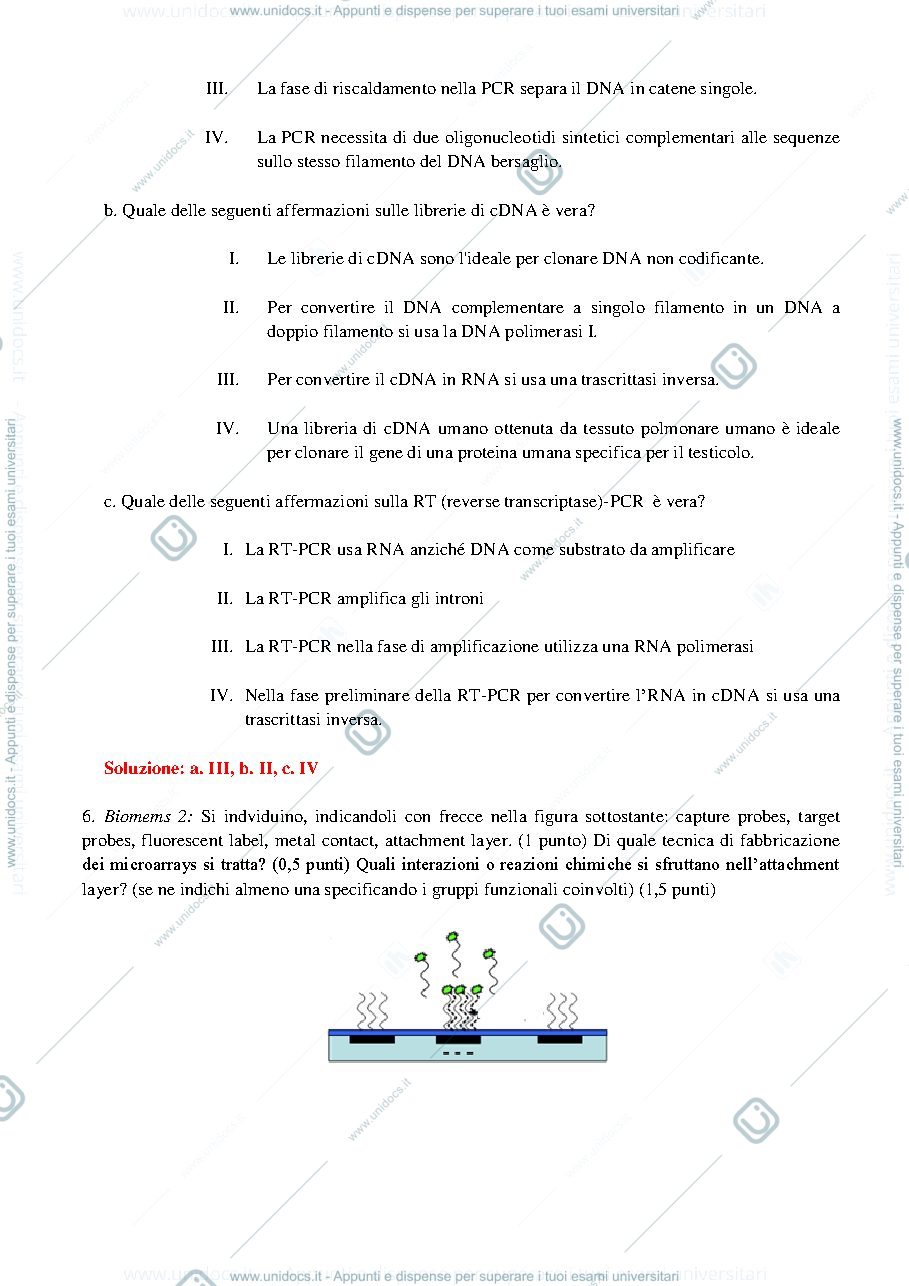 Anteprima pagina 3 — Temi d'esame 