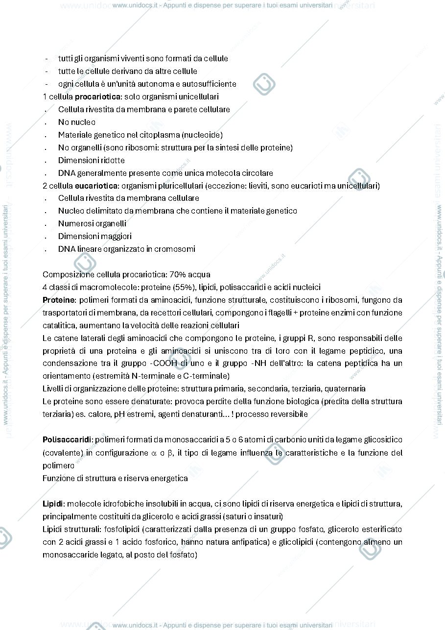Anteprima pagina 2 — BIOTECNOLOGIE DELLE FERMENTAZIONI