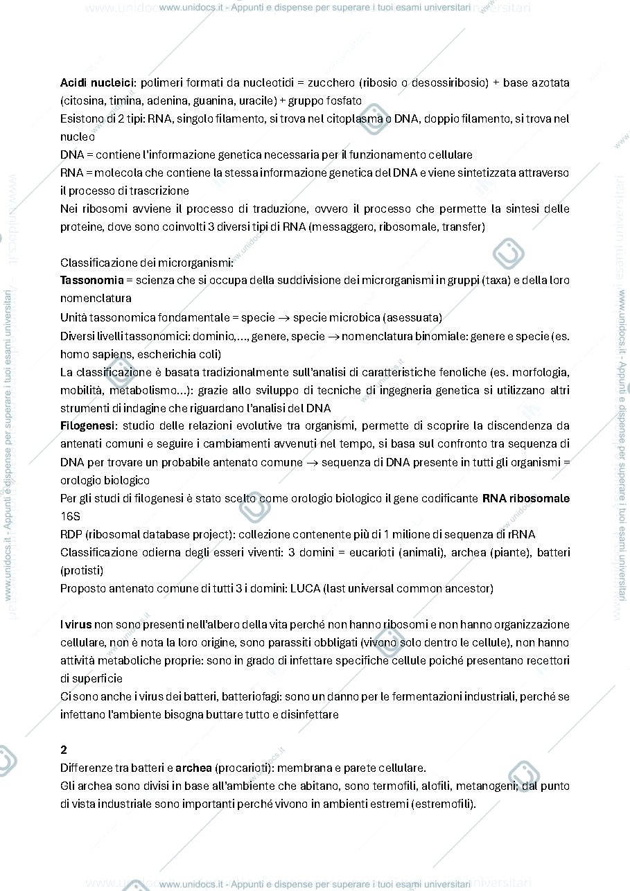 Anteprima pagina 3 — BIOTECNOLOGIE DELLE FERMENTAZIONI