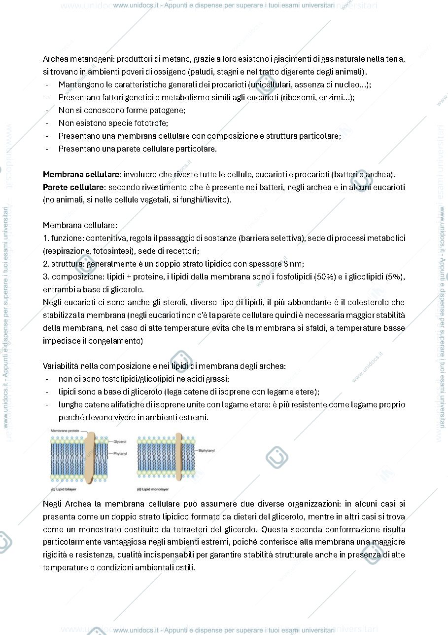 Anteprima pagina 4 — BIOTECNOLOGIE DELLE FERMENTAZIONI