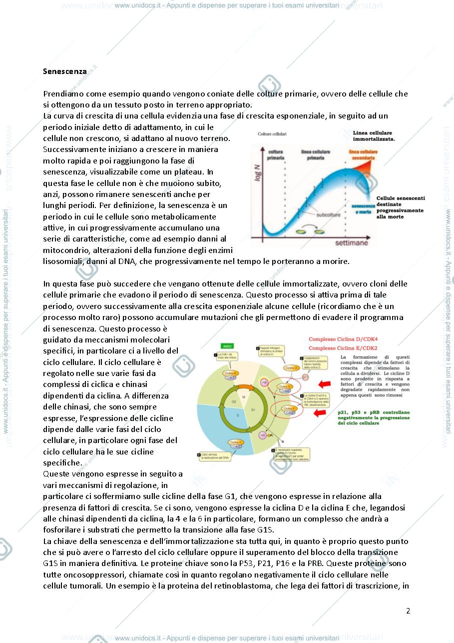 Anteprima pagina 2 — Biotecnologie Applicate a Cellule Eucaristiche con Laboratorio