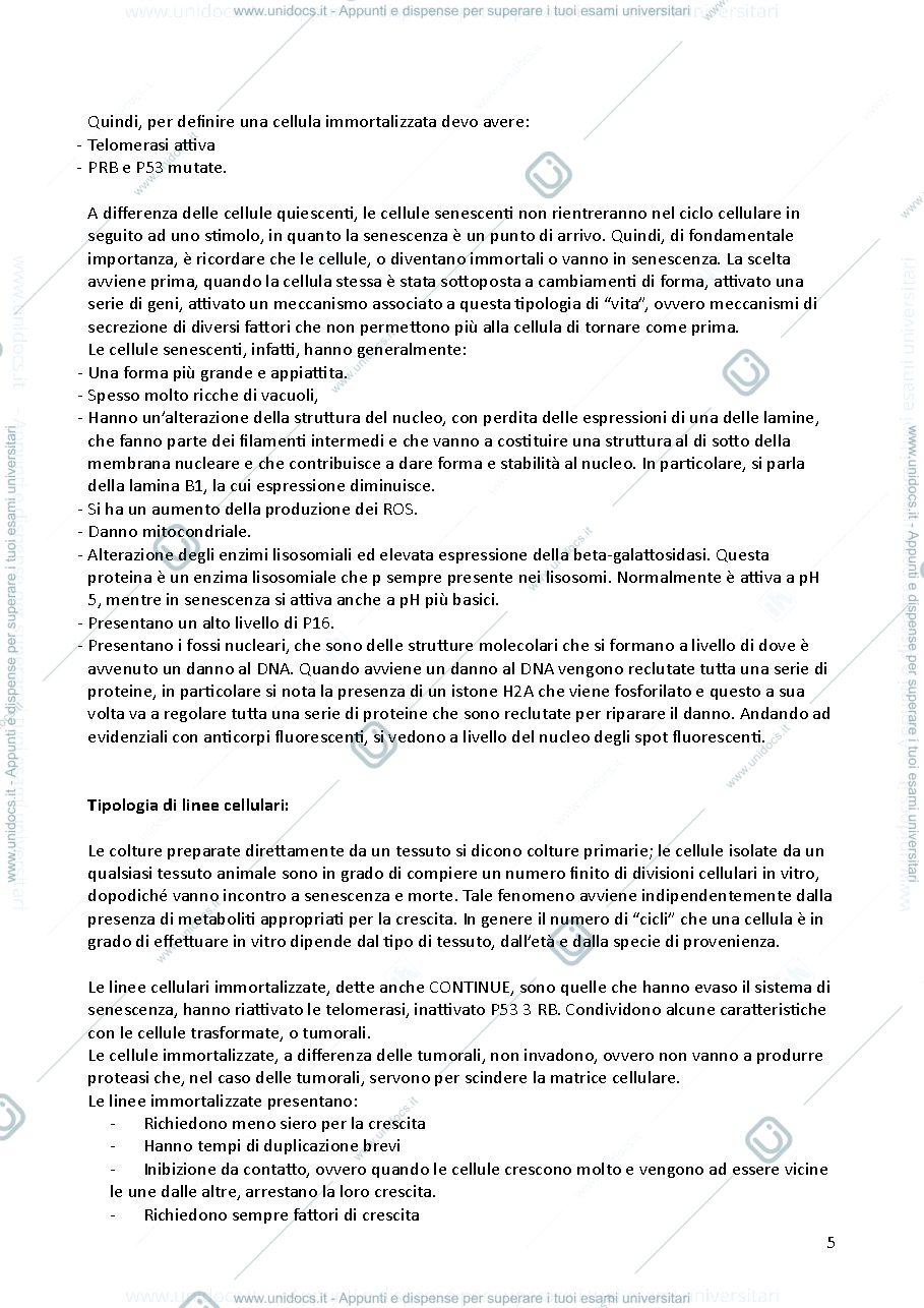 Anteprima pagina 5 — Biotecnologie Applicate a Cellule Eucaristiche con Laboratorio