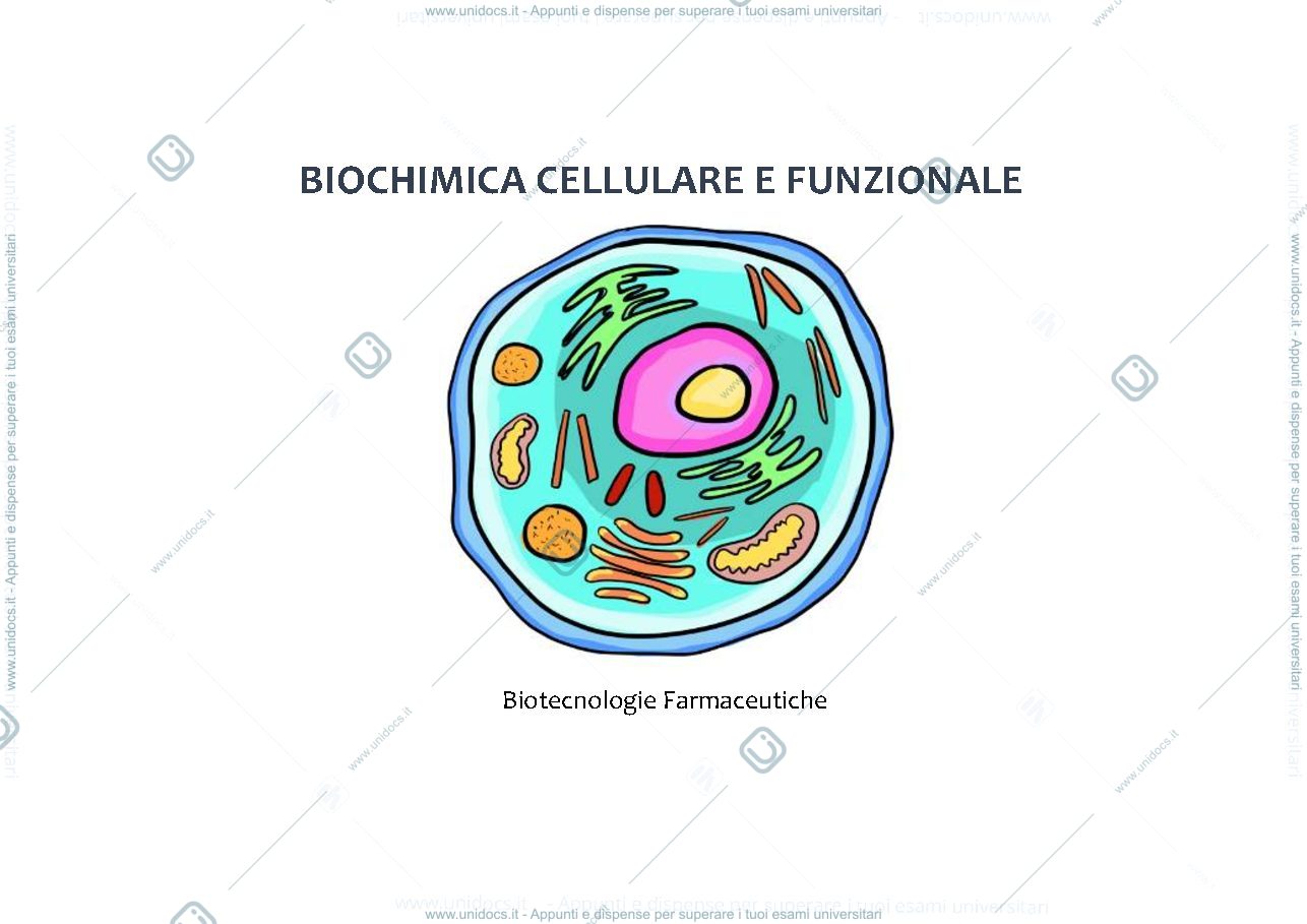 Anteprima pagina 1 — trasduzione segnale 