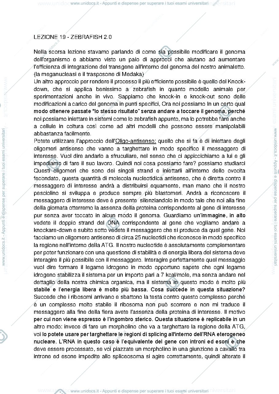 Anteprima pagina 1 — lezione Zebrafish 2