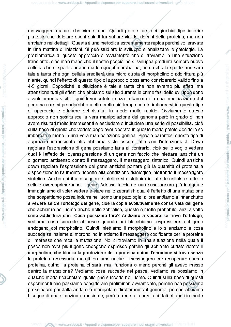 Anteprima pagina 2 — lezione Zebrafish 2