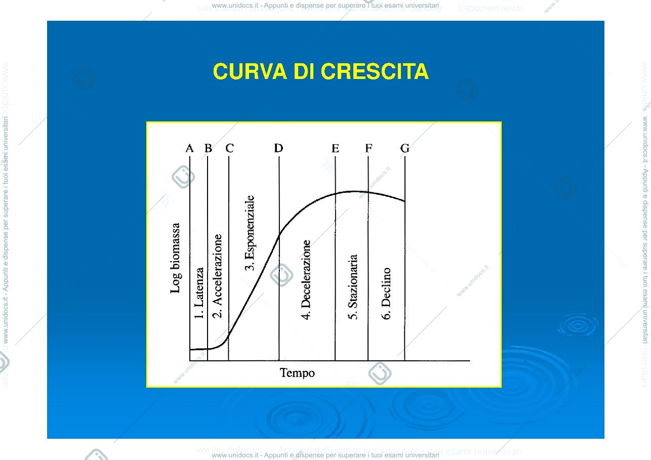 Anteprima pagina 2 — cinetica dei processi microbiologici