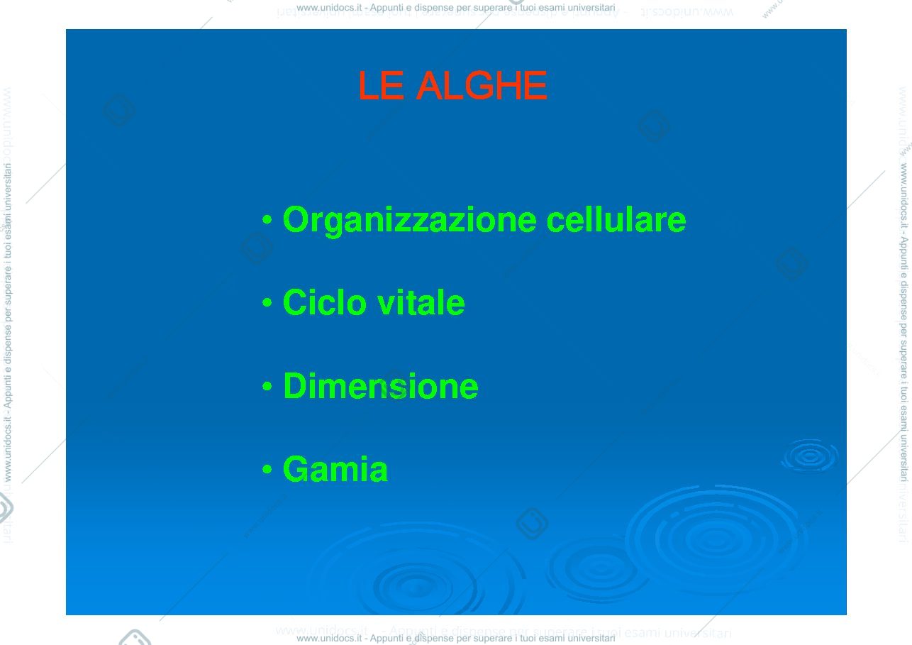 Anteprima pagina 2 — lucidi