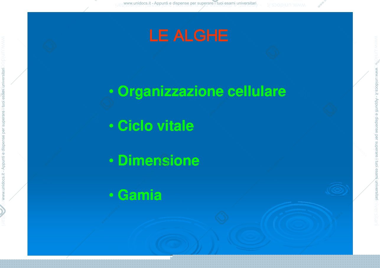 Anteprima pagina 3 — lucidi