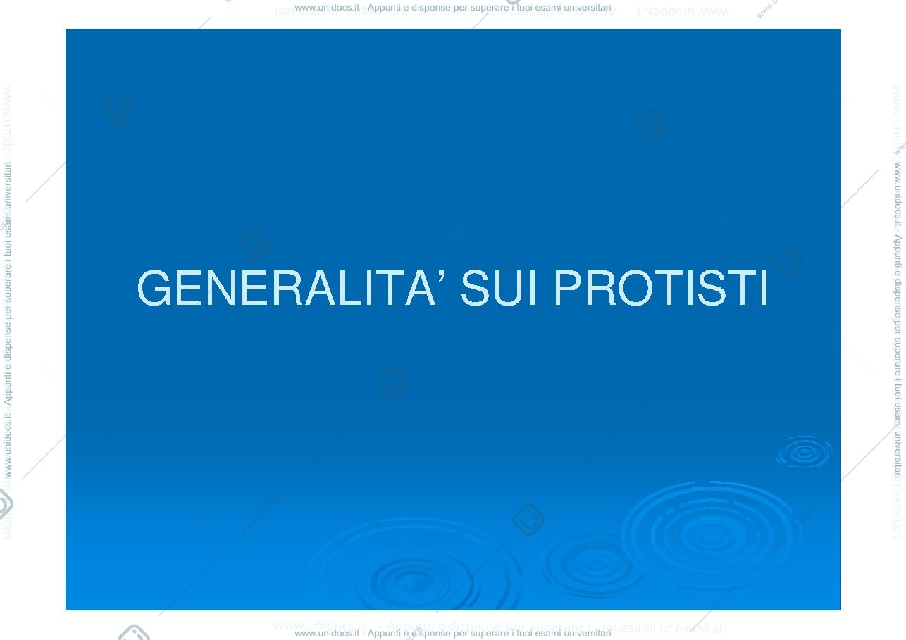 Anteprima pagina 1 — lucidi