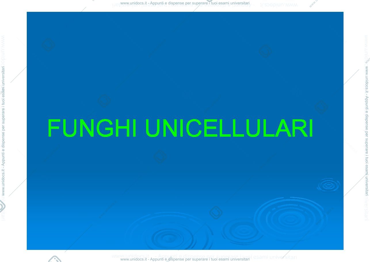 Anteprima pagina 1 — lucidi