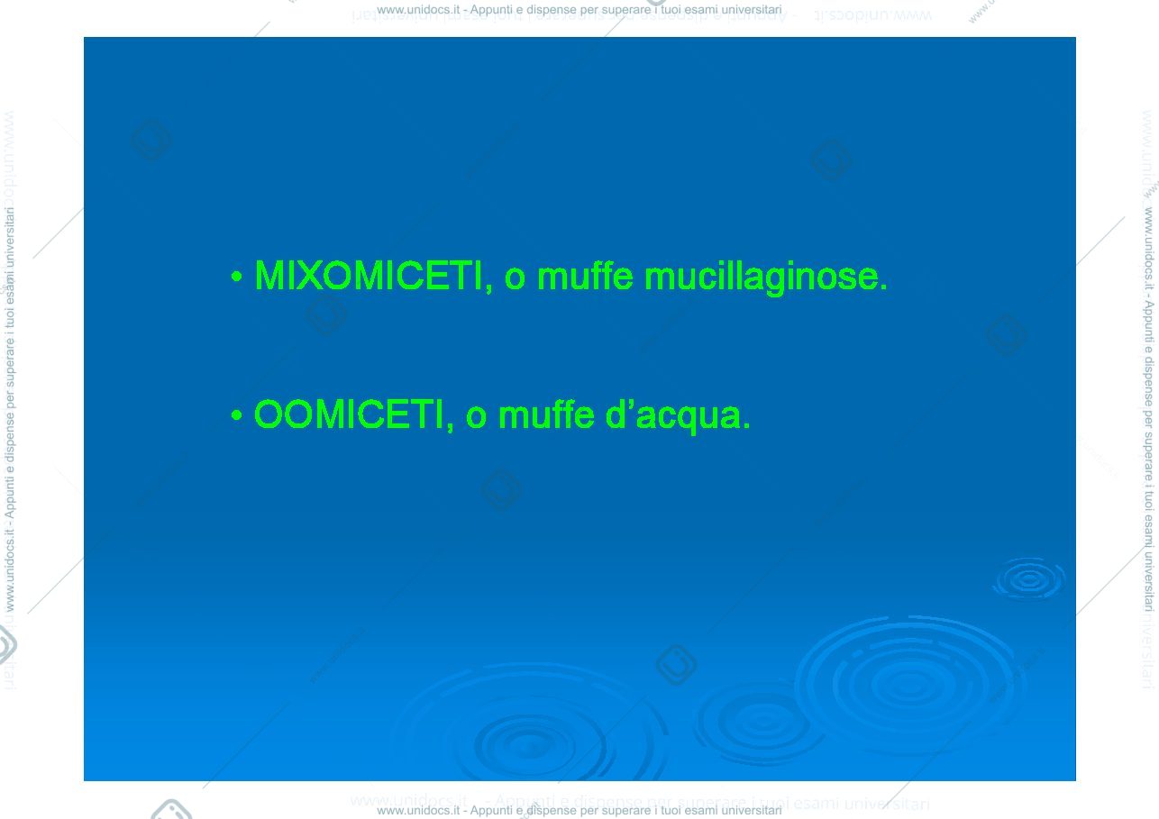 Anteprima pagina 2 — lucidi