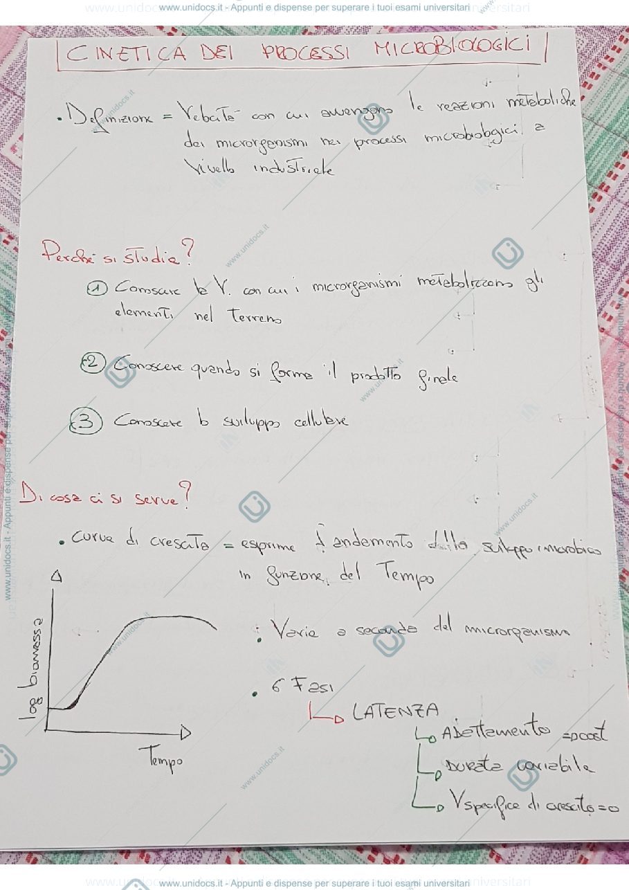 Anteprima pagina 1 — Cinetica dei processi microbiologici