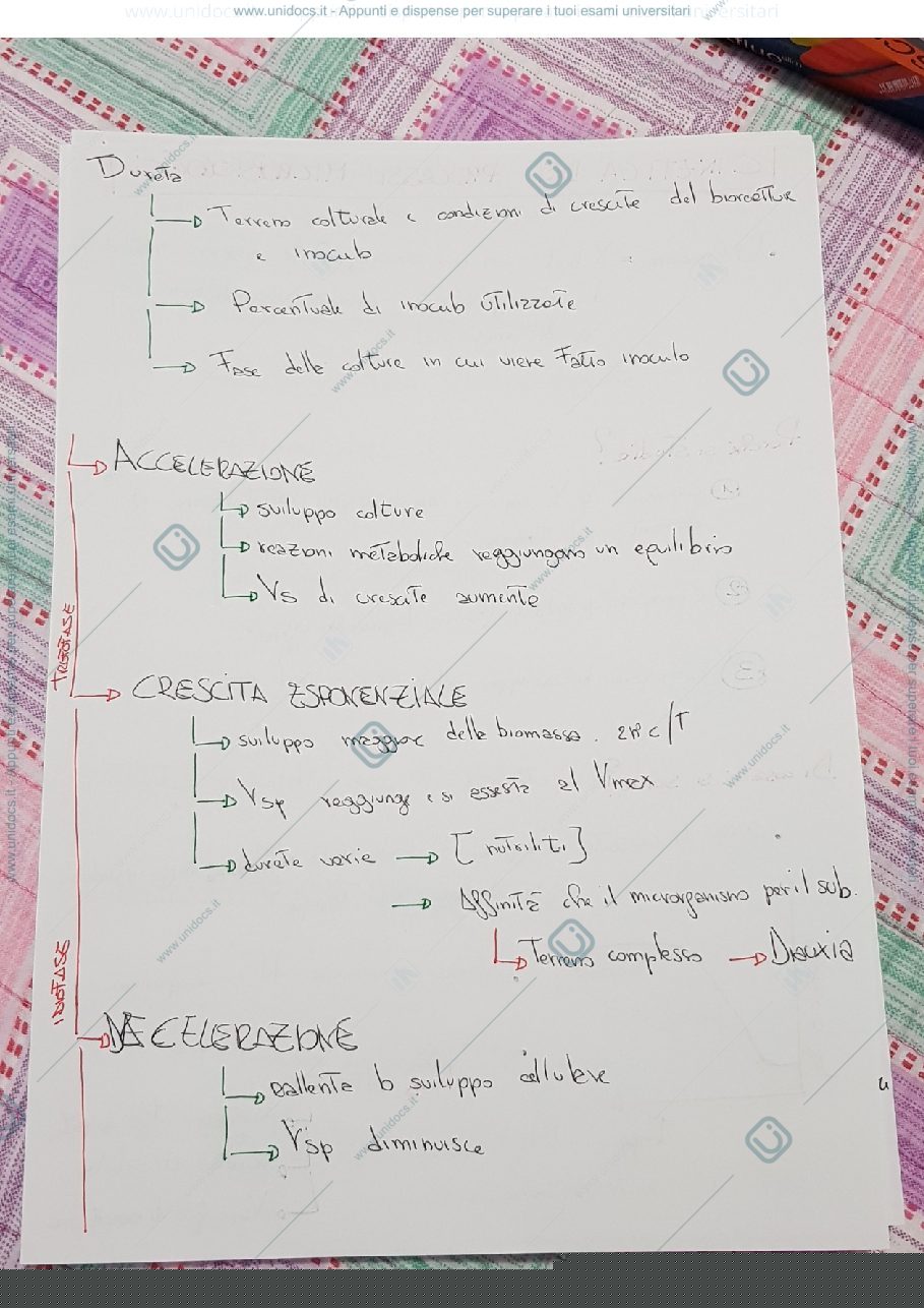Anteprima pagina 2 — Cinetica dei processi microbiologici