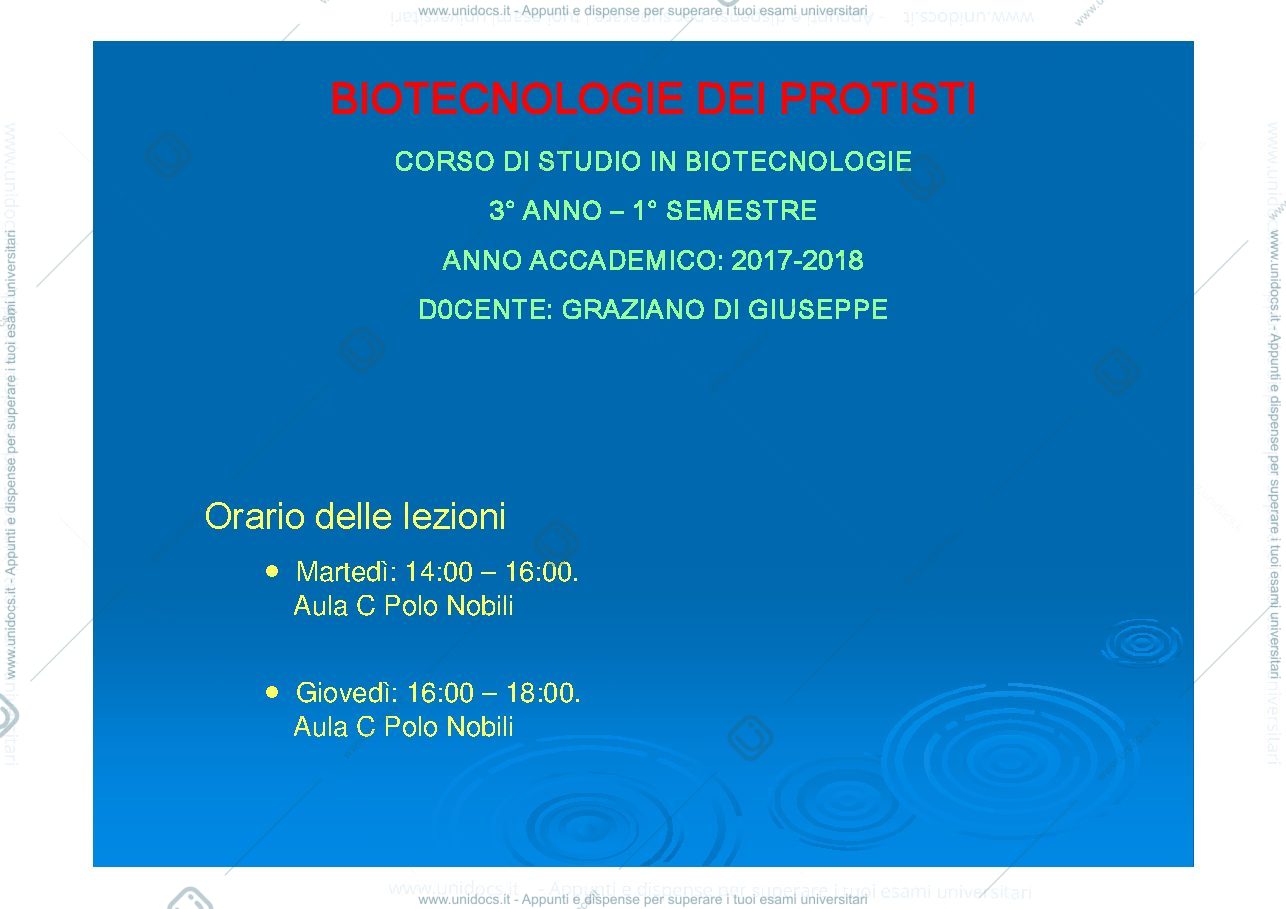 Anteprima pagina 1 — lucidi