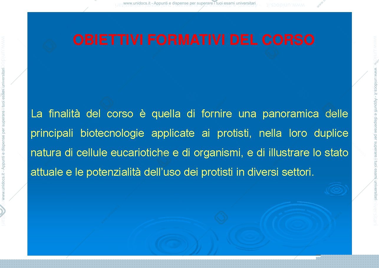 Anteprima pagina 2 — lucidi