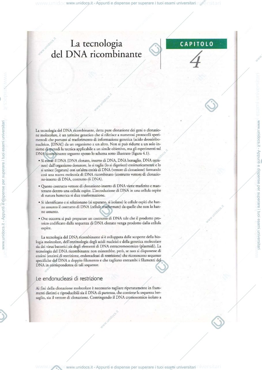 Anteprima pagina 1 — biotecnolgoie molecolari 