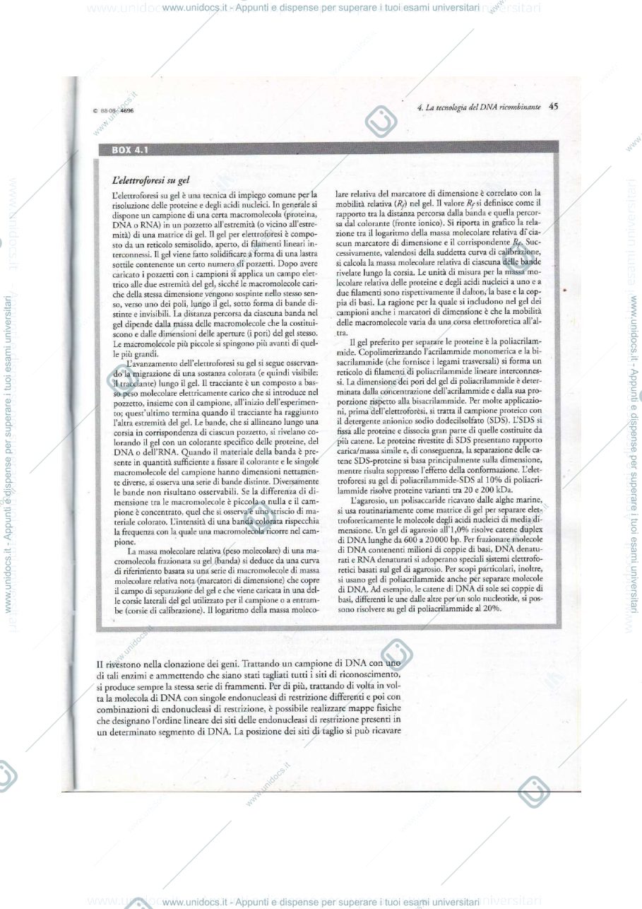 Anteprima pagina 5 — biotecnolgoie molecolari 