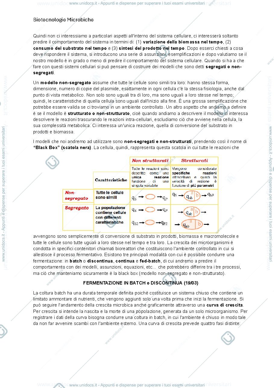 Anteprima pagina 3 — modelli cinetici - batch, continuo, fed-batch