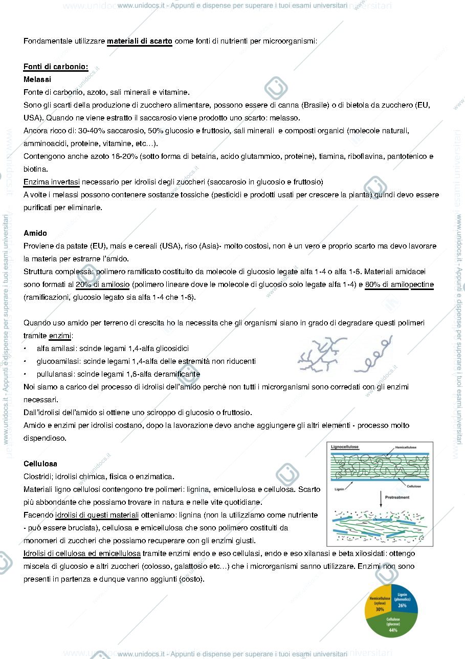 Anteprima pagina 2 — Biotecnologie delle fermentazioni