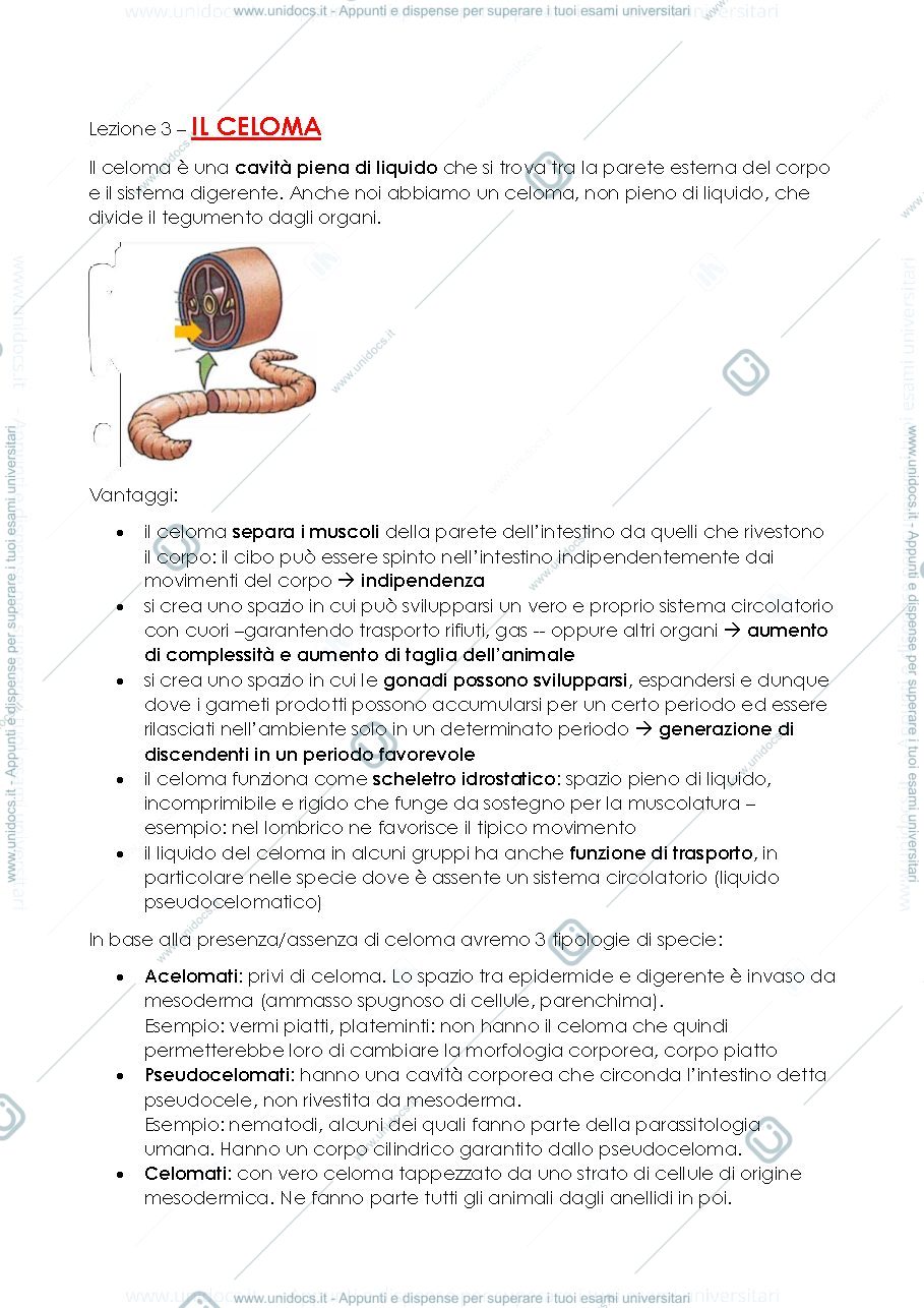 Anteprima pagina 1 — Lezione 2 - biotecnologie di base