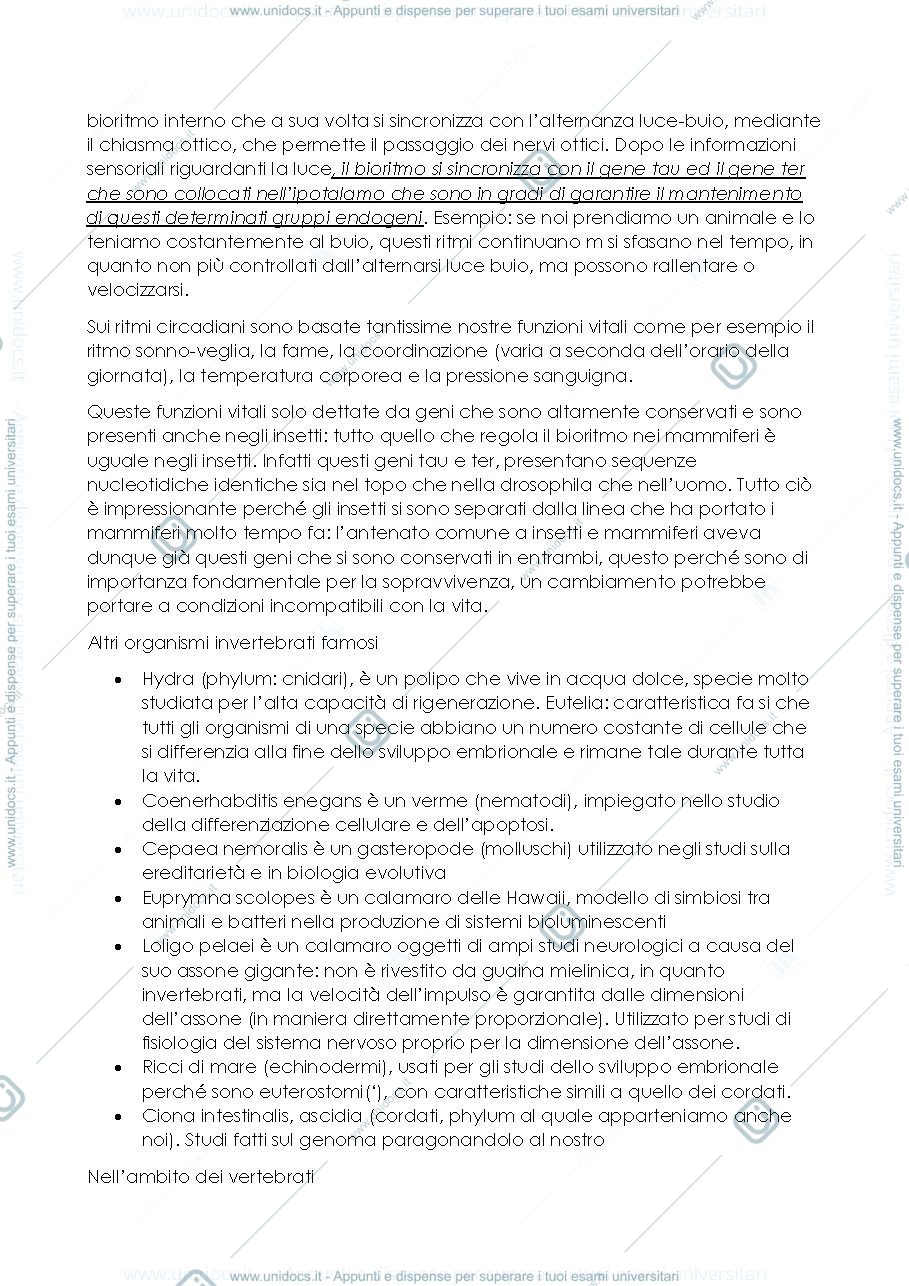 Anteprima pagina 2 — Lezione 1 - biotecnologie di base e modelli animali