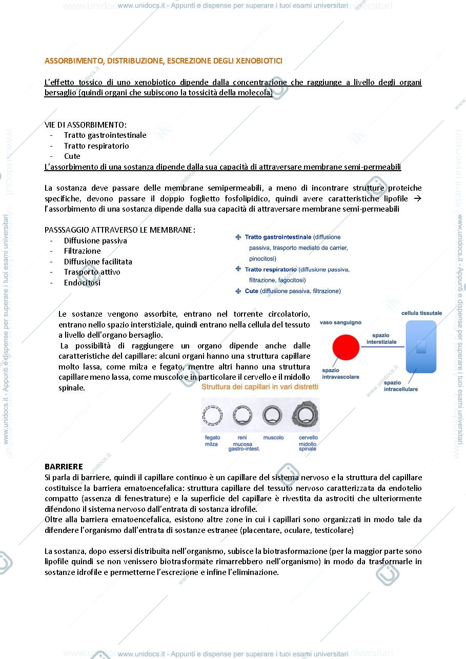 Anteprima pagina 3 — Modulo di Tossicologia