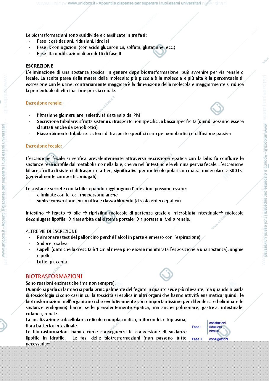 Anteprima pagina 4 — Modulo di Tossicologia