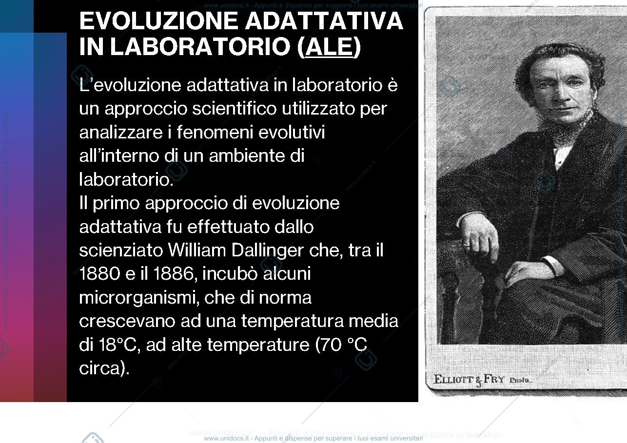 Anteprima pagina 2 — Evoluzione adattativa
