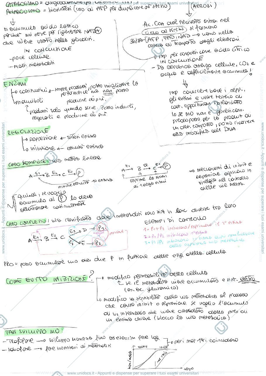 Anteprima pagina 2 — Schema riassuntivo completo