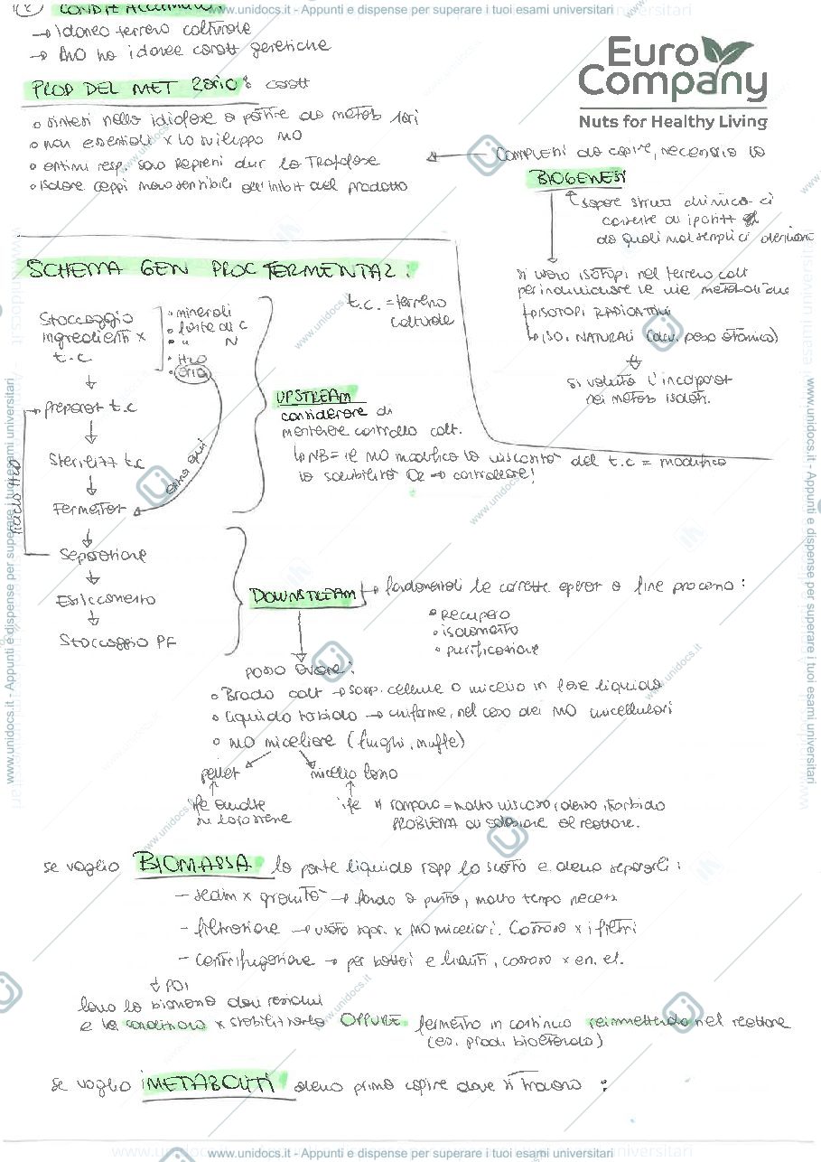 Anteprima pagina 3 — Schema riassuntivo completo