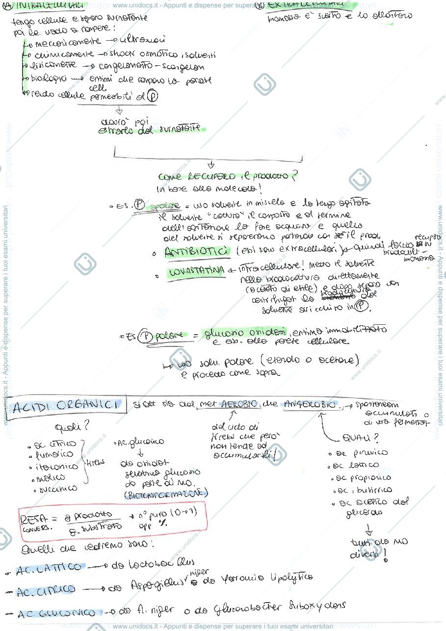 Anteprima pagina 4 — Schema riassuntivo completo