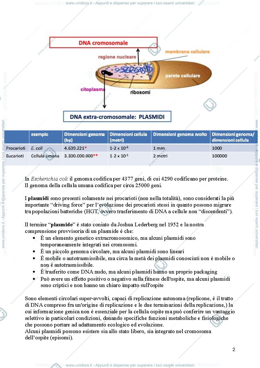 Anteprima pagina 3 — Biotecnologie Microbiche - modulo Arioli