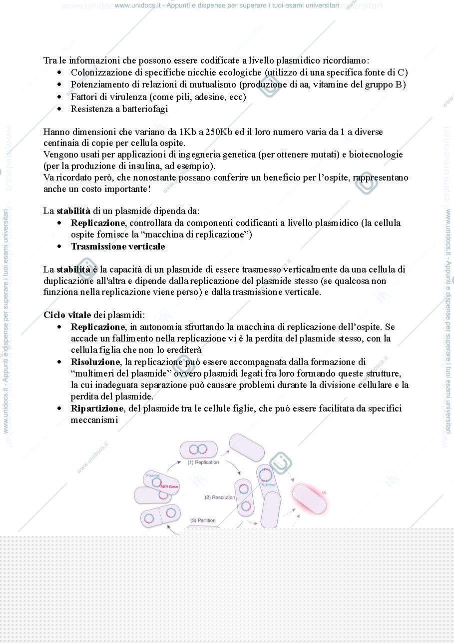 Anteprima pagina 4 — Biotecnologie Microbiche - modulo Arioli