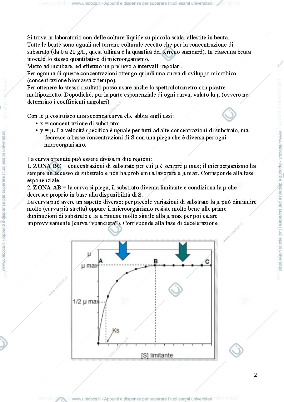 Anteprima pagina 2 — Domande aperte Bioctonologie microbiche - modulo Rollini