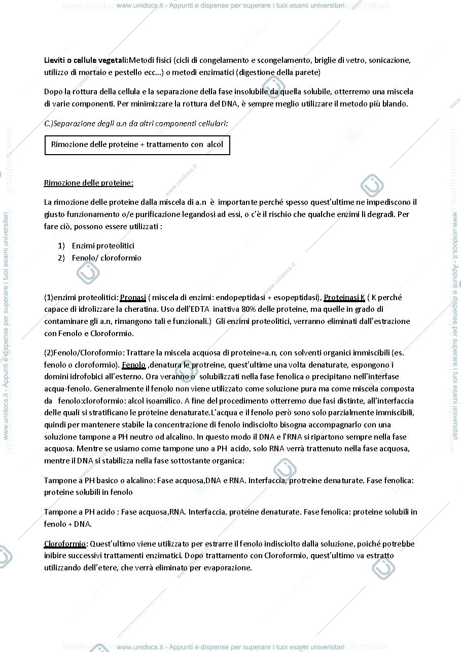 Anteprima pagina 2 — biotec ricombinanti appunti prof. Trovato 