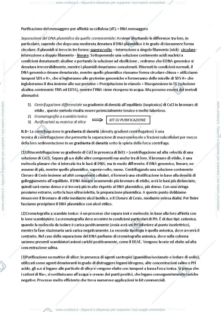 Anteprima pagina 4 — biotec ricombinanti appunti prof. Trovato 