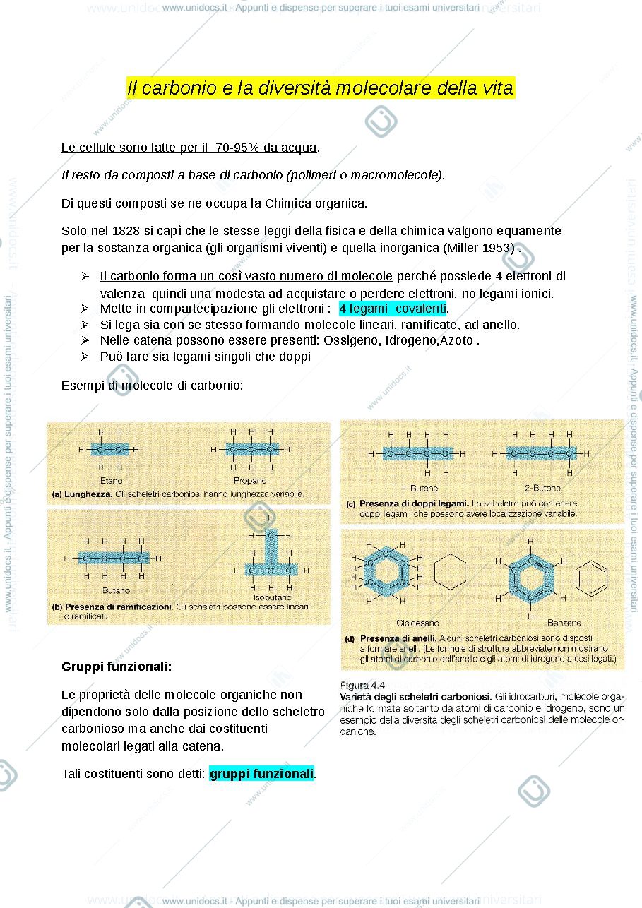 Anteprima pagina 1 — Carbonio e la diversità molecolare 