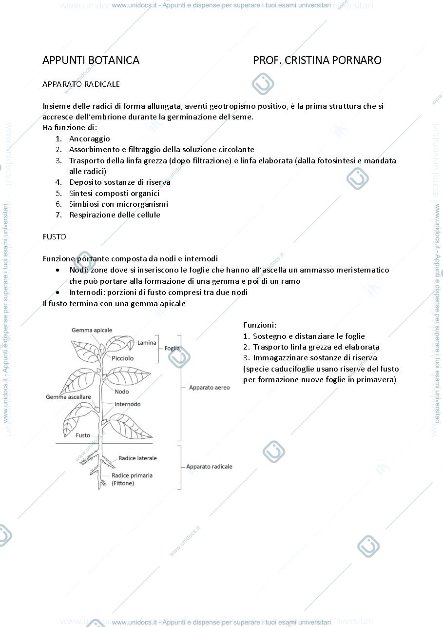 Anteprima pagina 1 — APPUNTI BOTANICA 