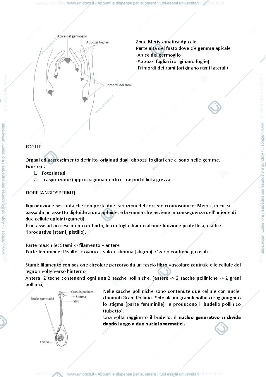 Anteprima pagina 2 — APPUNTI BOTANICA 