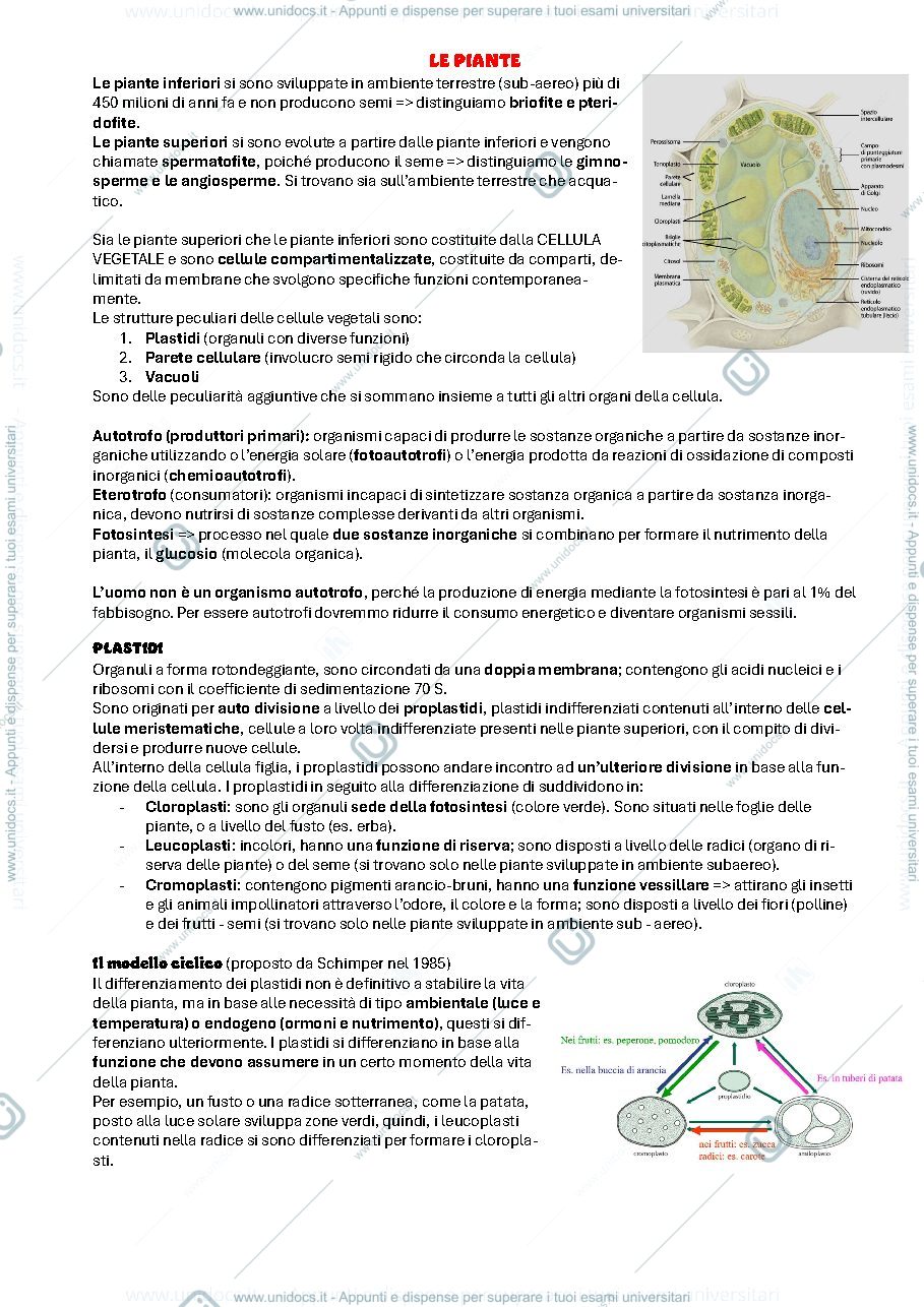 Anteprima pagina 1 — Botanica