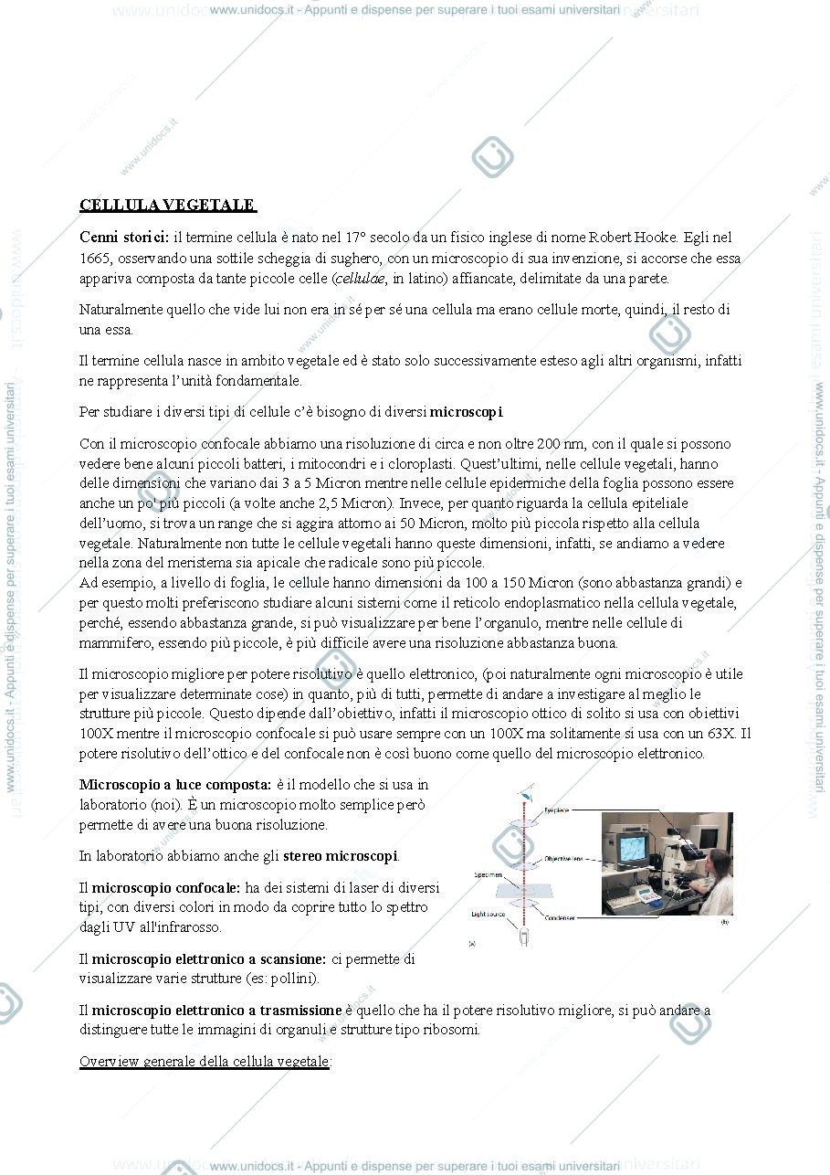 Anteprima pagina 2 — Botanica - Cellula vegetale
