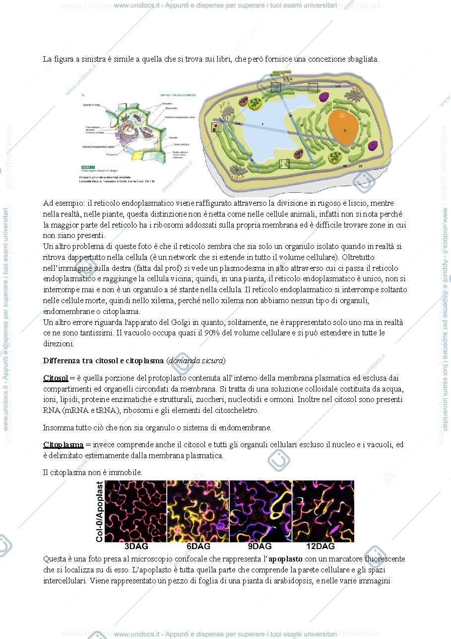 Anteprima pagina 3 — Botanica - Cellula vegetale